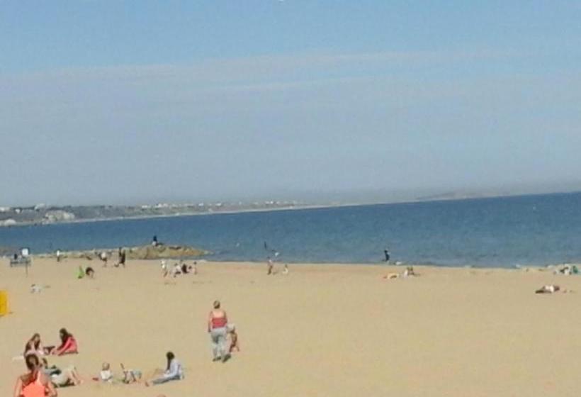 بنسيون Blue Palms