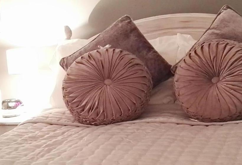 بنسيون Blue Palms