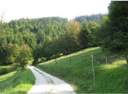 پانسیون Gostilna Metka