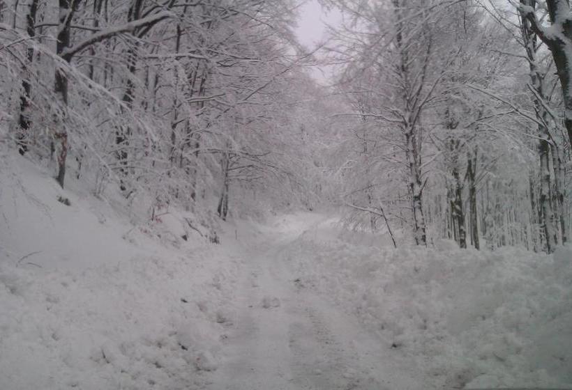 پانسیون Gostilna Metka