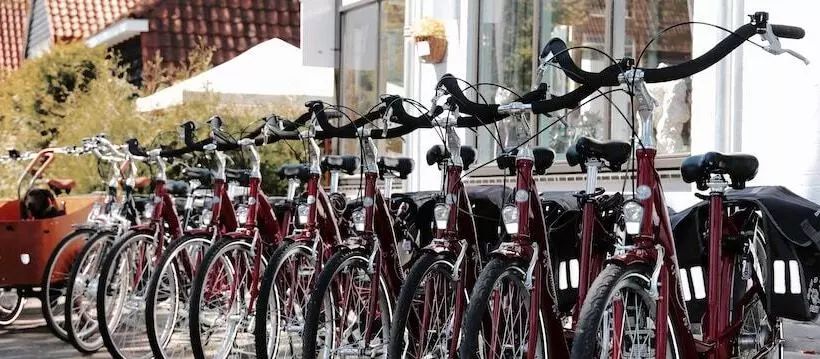 Majatalo Guesthouse Fleur De Lis