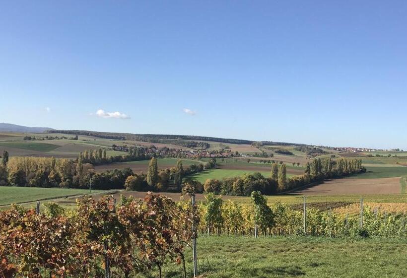 Pension Und Weingut Hirschhof