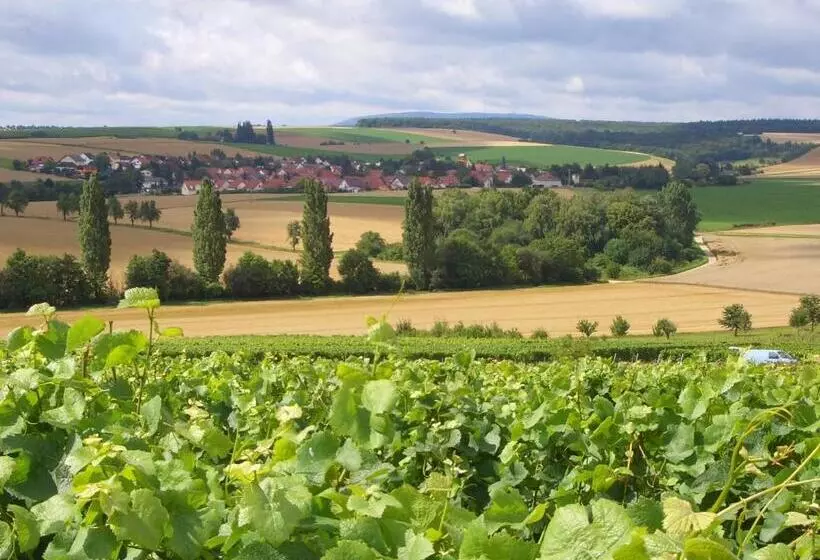 Pension Und Weingut Hirschhof
