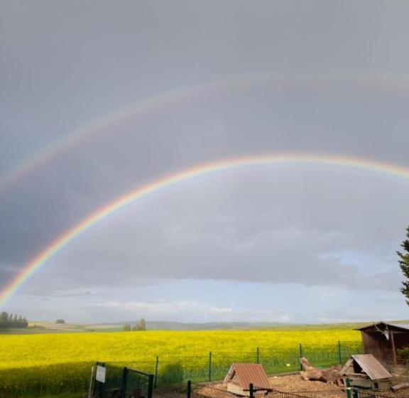 Pension Und Weingut Hirschhof