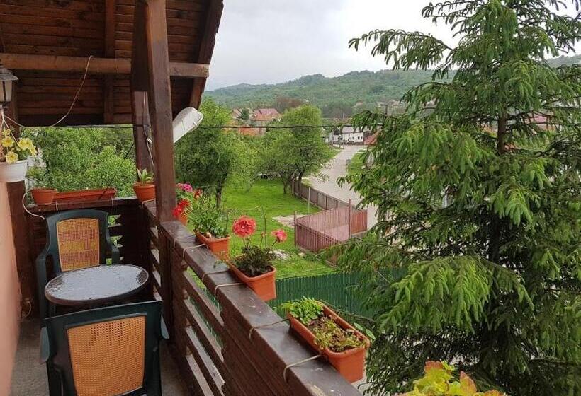 Pensiunea Agroturistică Piscul Soarelui