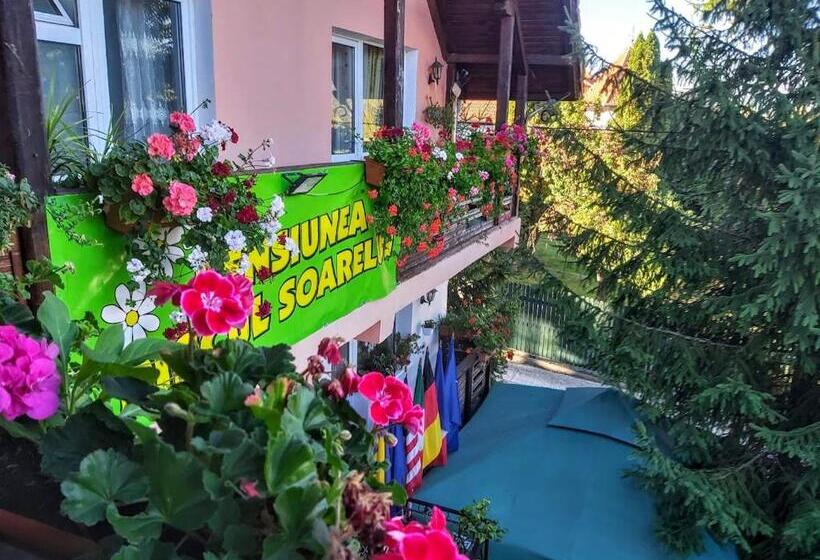 Pensiunea Agroturistică Piscul Soarelui