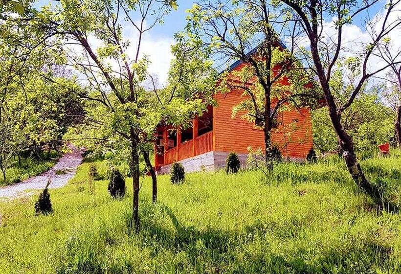 Pensiunea Agroturistică Piscul Soarelui