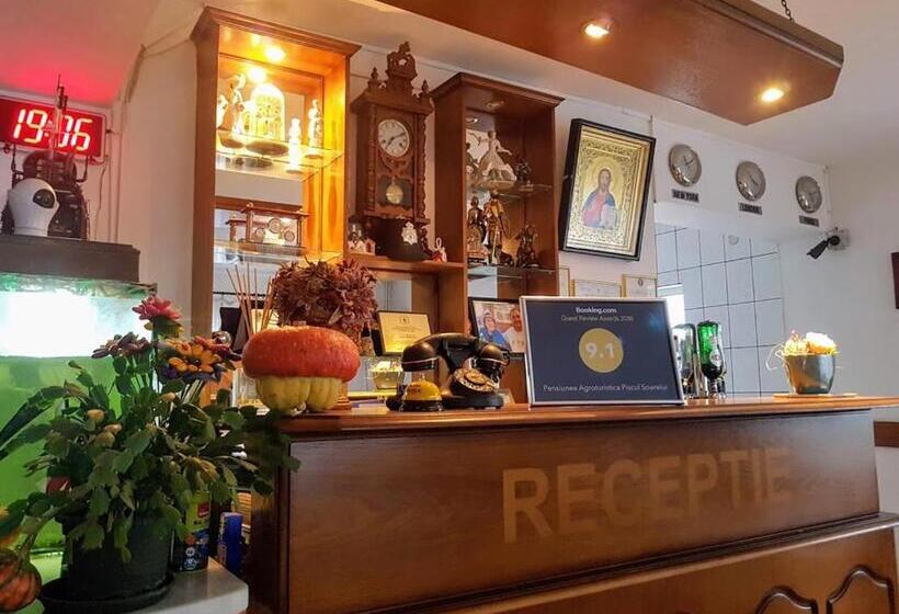 Pensiunea Agroturistică Piscul Soarelui