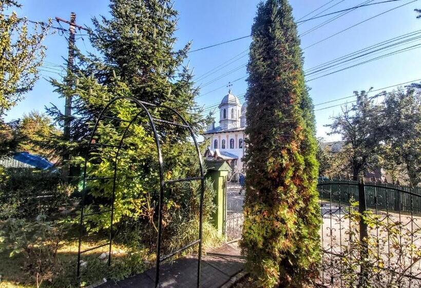 Pensiunea Agroturistică Piscul Soarelui