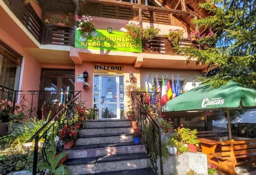 Pensiunea Agroturistică Piscul Soarelui