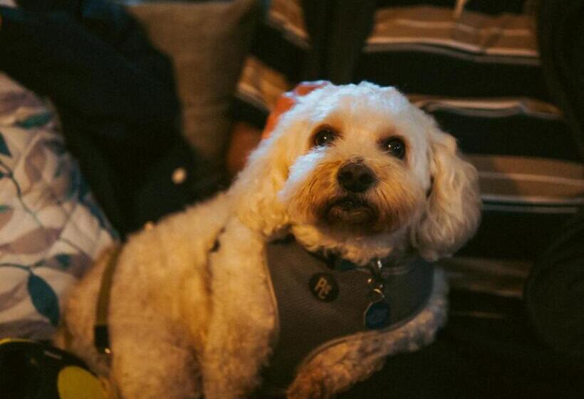 旅馆 The Heathfield Inn