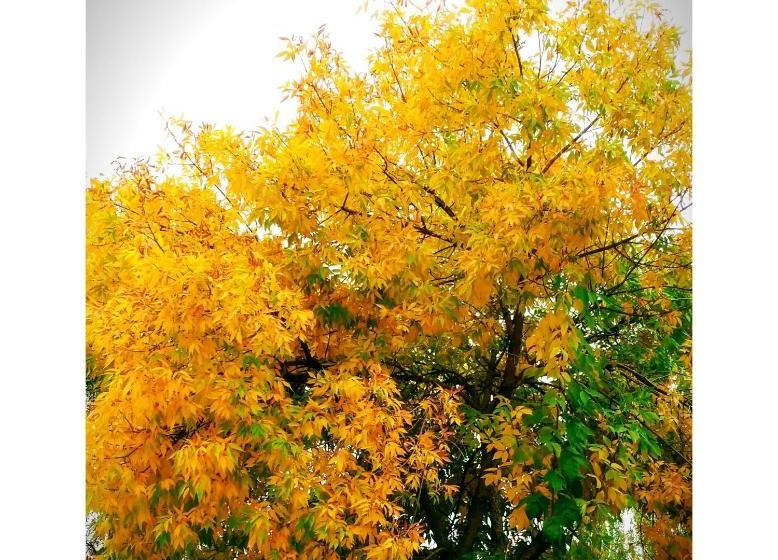 Apartamentos Valle Del Guadalquivir