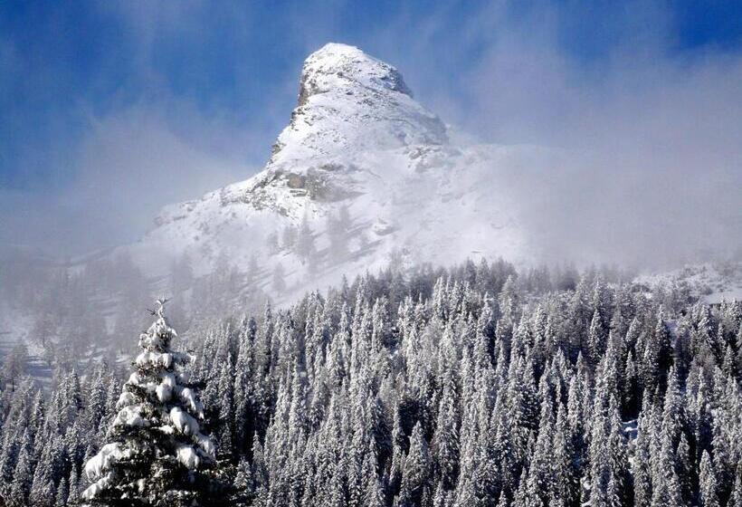 Aparthotel San Bernardino