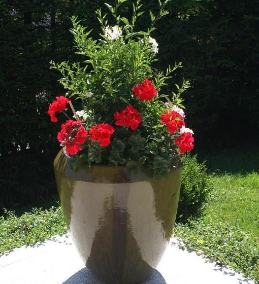 ベッドアンドブレックファースト Pension Bergfried