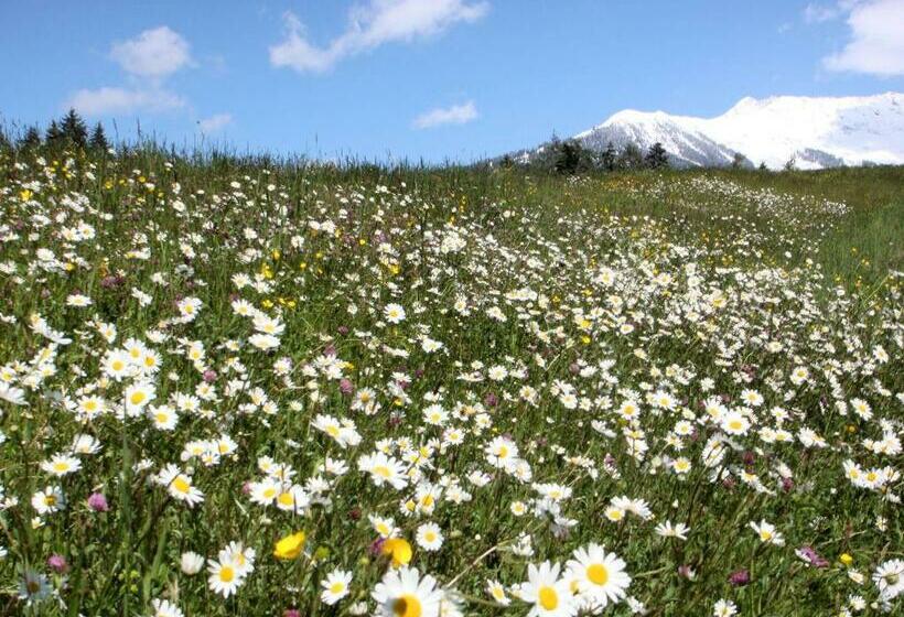 ホテル Garni Regina