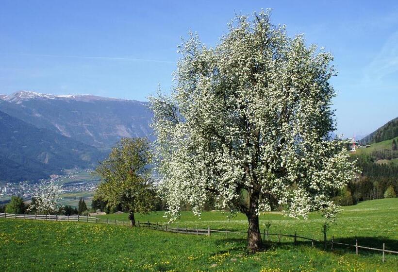 ホテル Garni Regina