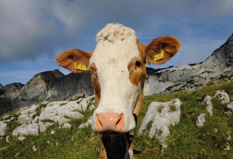 ホテル Garni Regina