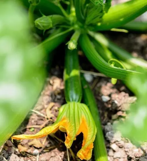 هتل Il Bagnolo Eco Lodge