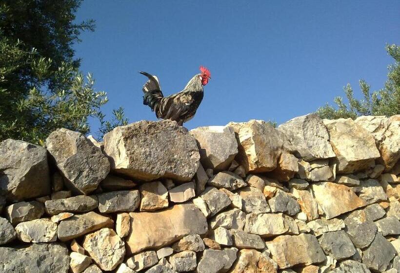 בית מלון כפרי Agriturismo Masseria Spetterrata