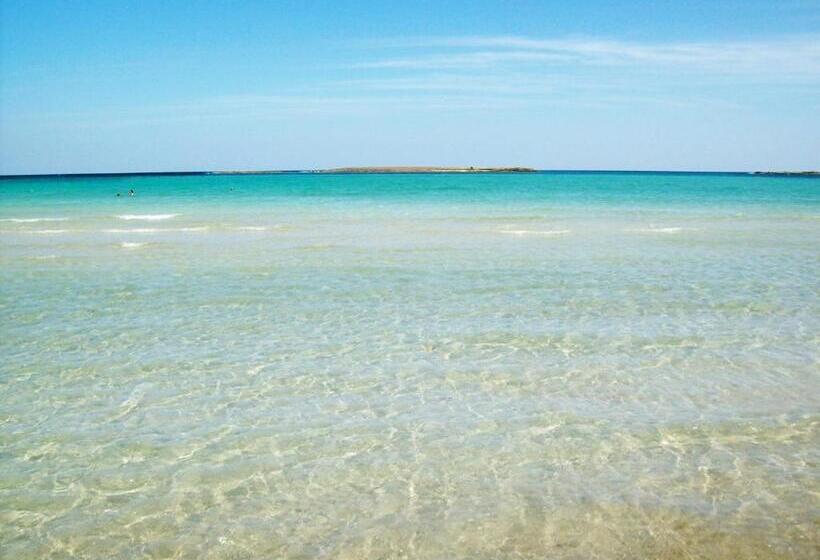 בית מלון כפרי Agriturismo Masseria Spetterrata