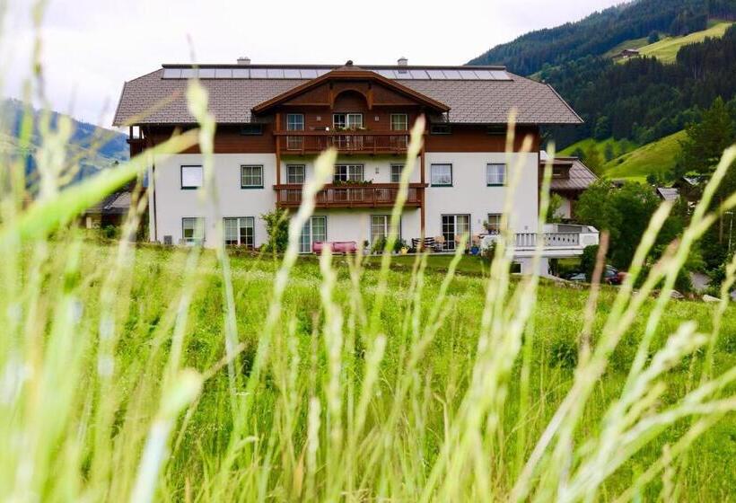 ペンション Appartementhaus Elmo Viehhauser Kg