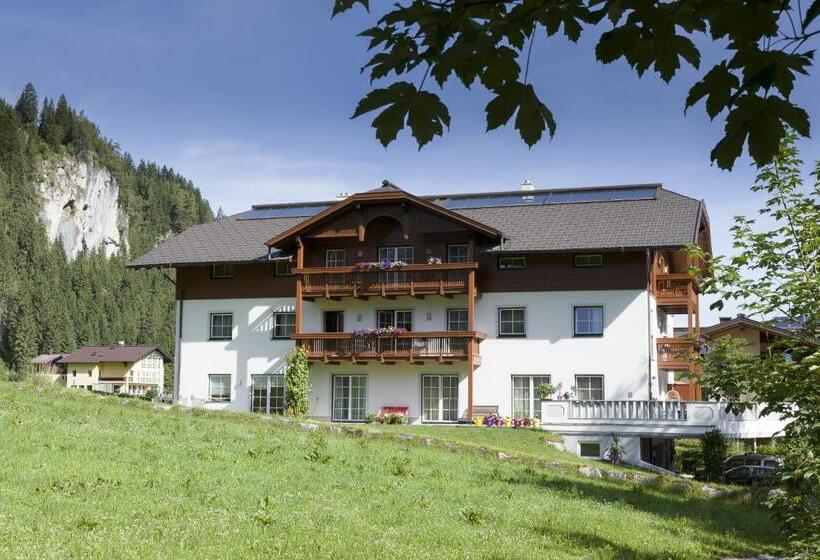 ペンション Appartementhaus Elmo Viehhauser Kg