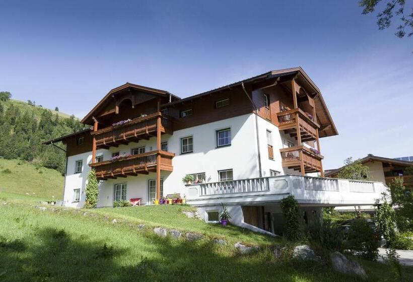 ペンション Appartementhaus Elmo Viehhauser Kg