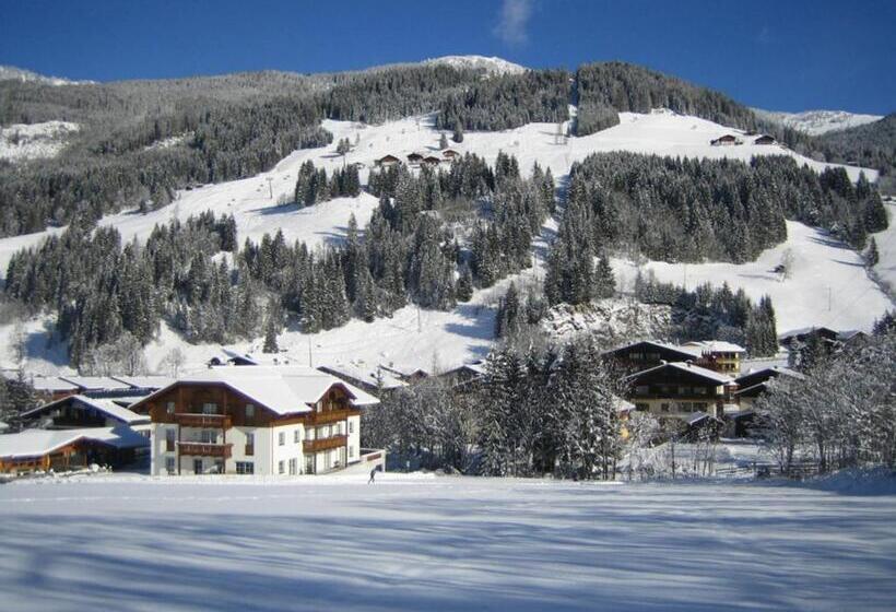 ペンション Appartementhaus Elmo Viehhauser Kg