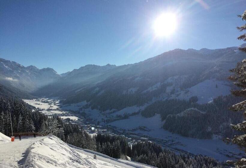 ペンション Appartementhaus Elmo Viehhauser Kg