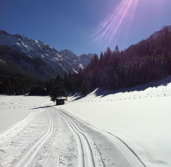 ペンション Appartementhaus Elmo Viehhauser Kg