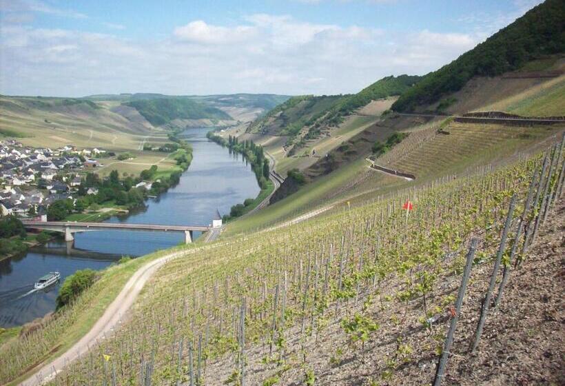 Пансион Gästehaus Weingut Loersch