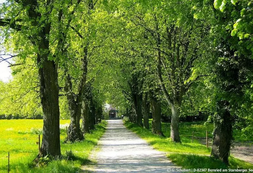 Majatalo Landgasthof Drei Rosen