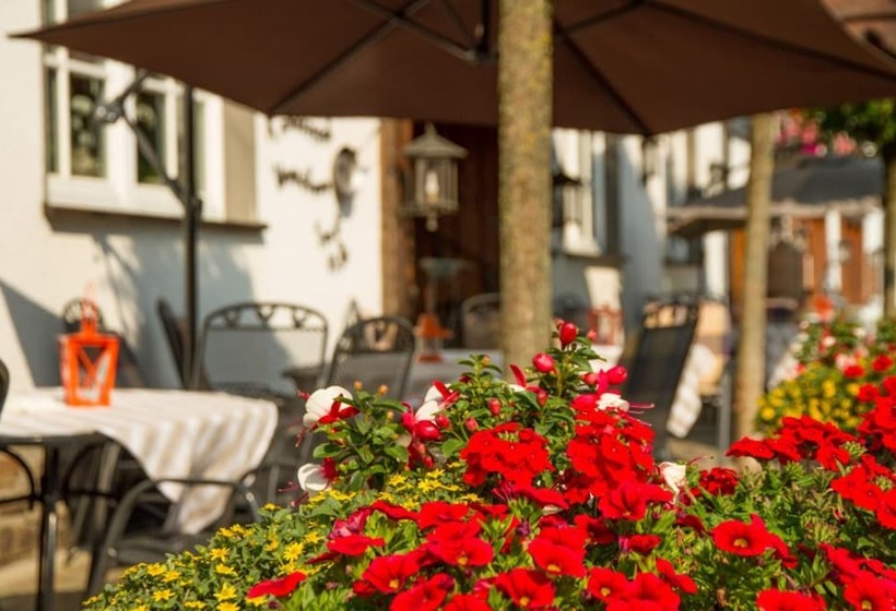 Пансион Landgasthof Schneider, Westfeld