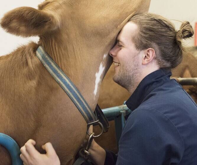 پانسیون Vogafjós Farm Resort