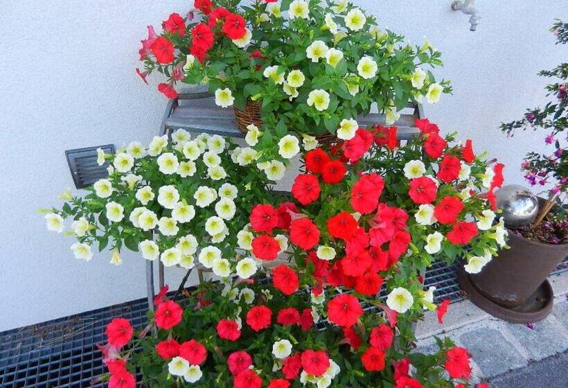 Pension Apartment Hödner