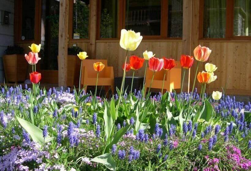 住宿加早餐  Tre Alberi Liberi