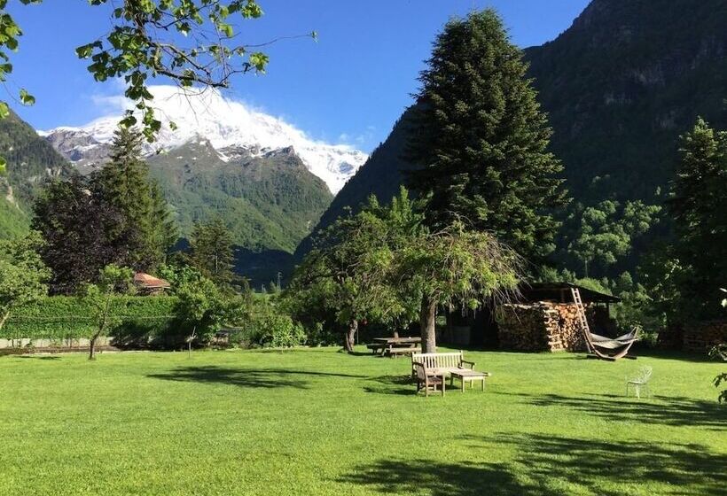 住宿加早餐  Tre Alberi Liberi