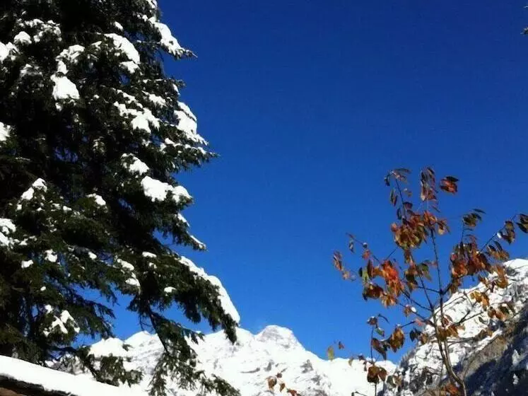 Aamiaismajoitus (B&B) Tre Alberi Liberi