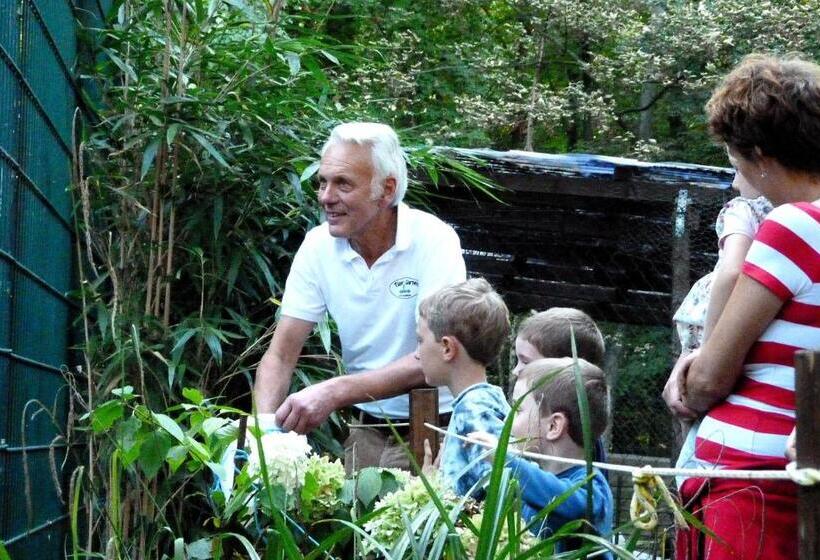 Pension Forstgut Waldeck