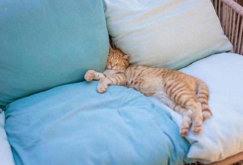 酒店 Masseria Brigantino