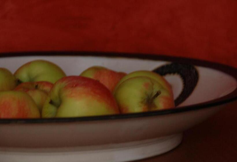 پانسیون Kunsthaus