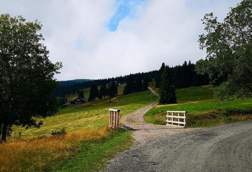 Пансион Penzion Lesní Pramen