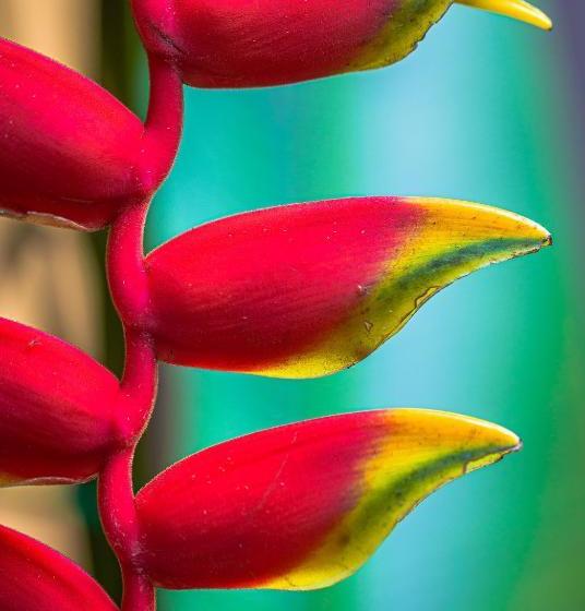 Pension Pousada Naturalia