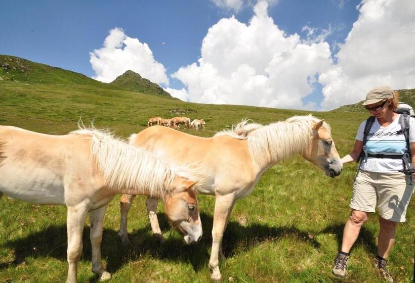 Restaurant   Café   Pension Hassler