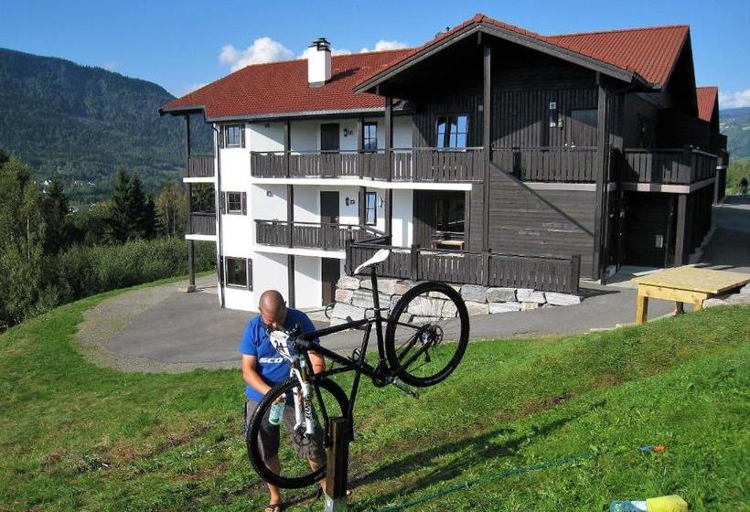 Alpin Apartments Solsiden