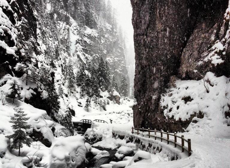 Apartments Sol E Nef