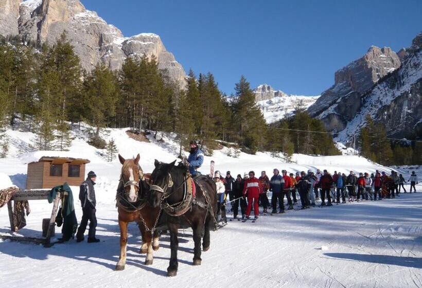 Apartments Sol E Nef