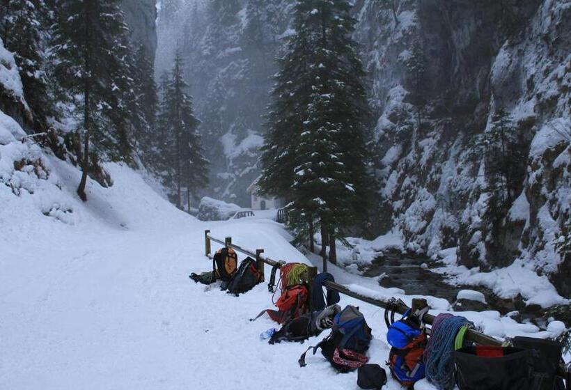 Apartments Sol E Nef