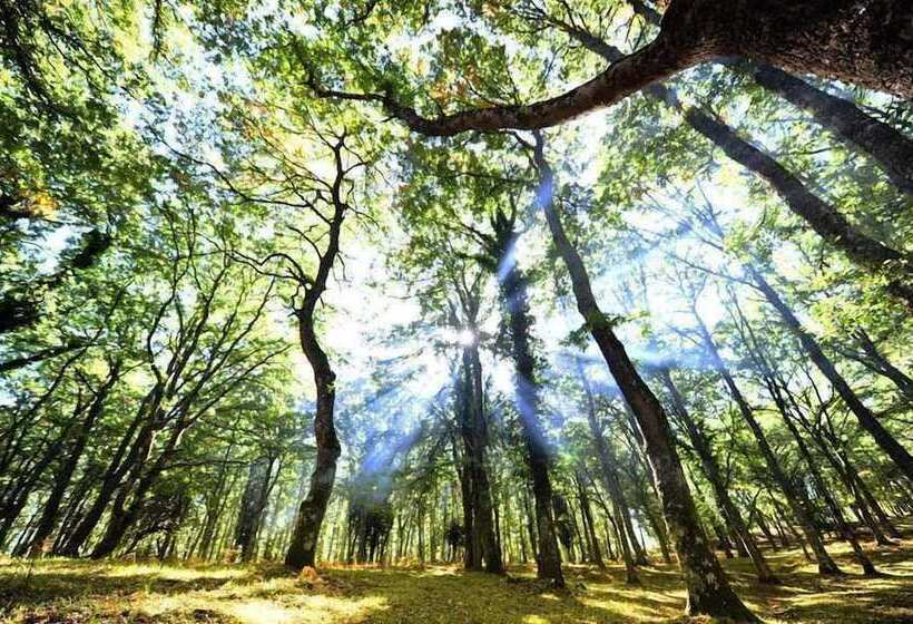 B&b Residence La Cappella Del Convento