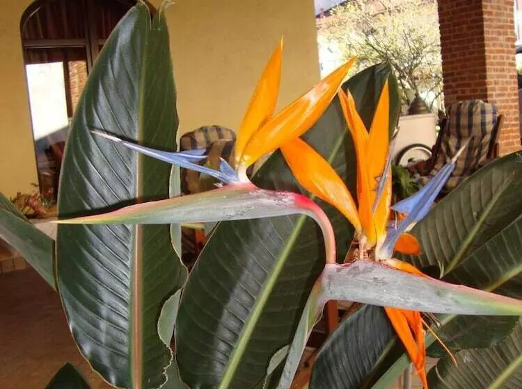 Aamiaismajoitus (B&B) Al Calar Della Sera